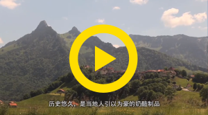 默认标题_自定义px_2019.05.17 (3).png 默认标题_自定义px_2019.05.17 (3).png